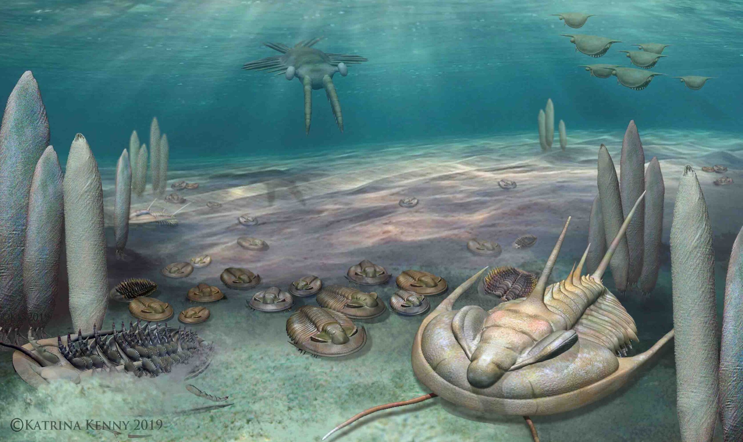 Insights from the Cambrian SPICE Event: Understanding Oceanic Oxygen Collapse 500 Million Years Ago