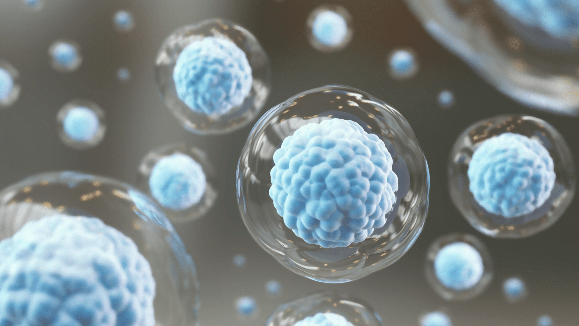 The Astonishing Power of Stem Cells: What They Are and Why They Matter